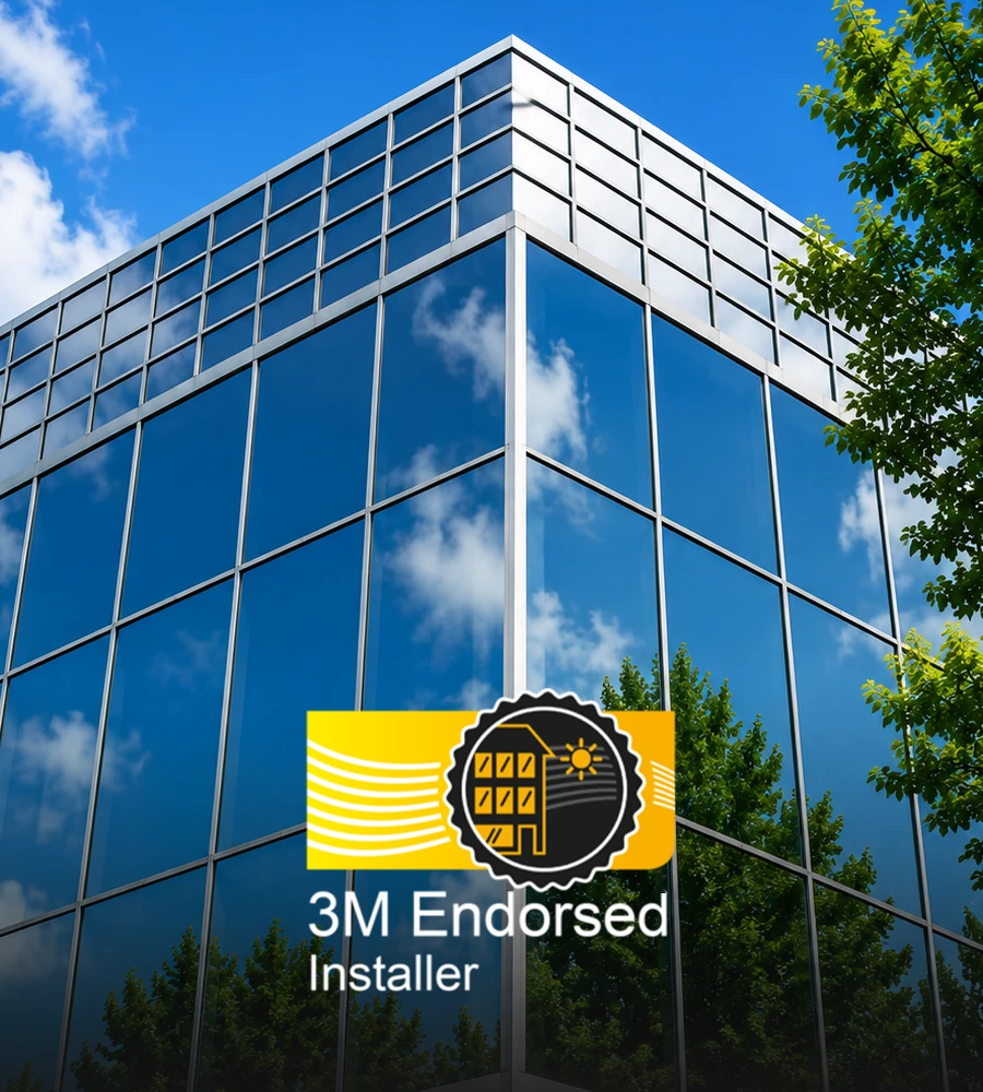 3m tint endorsed